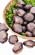 clam up